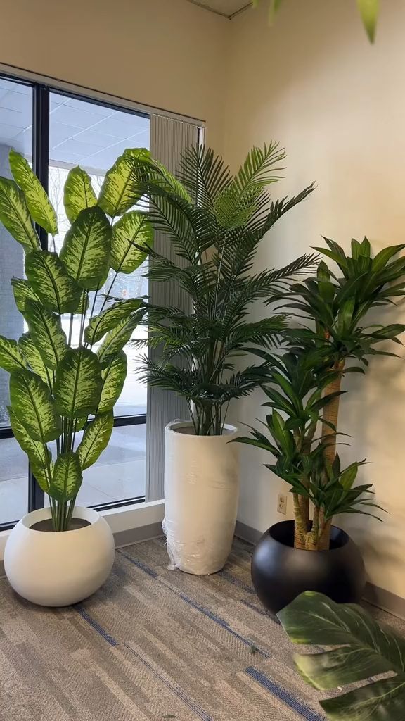 Tropical Plant Collection Set