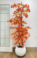 Autumn Maple Tree in White Pot