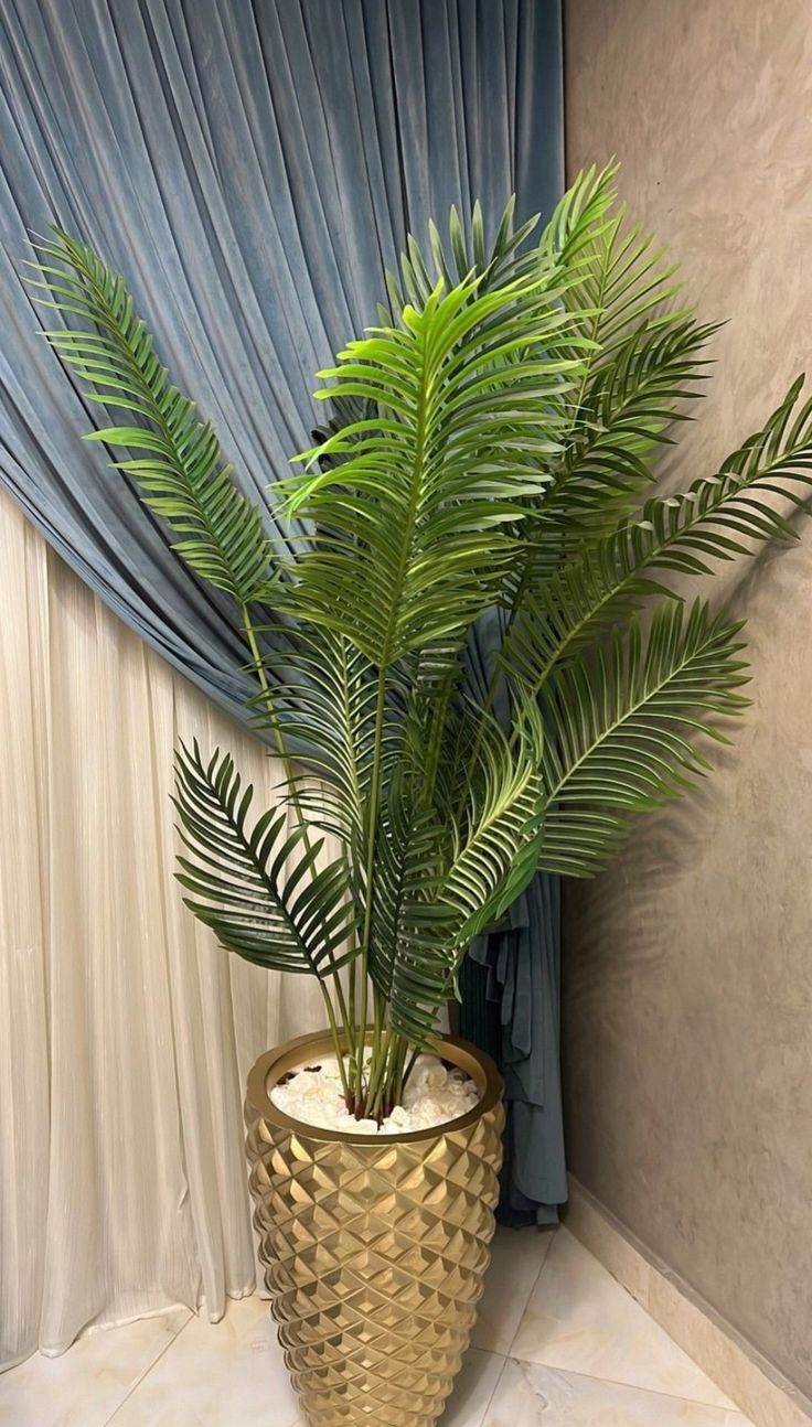 Areca Palm in Gold Textured Pot